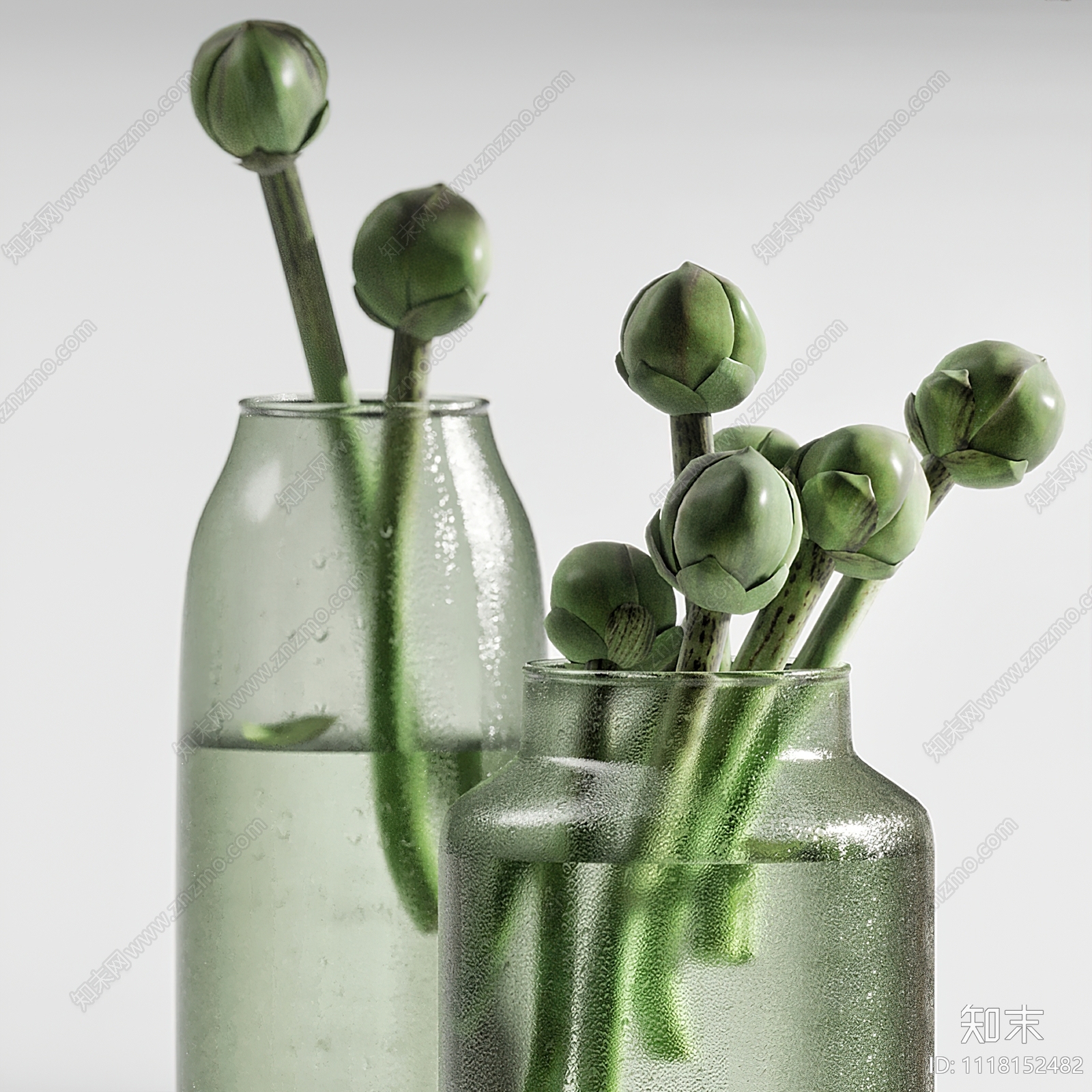 双版本    1118152482    现代绿植水生植物花瓶3d模型 ID-12033159.jpeg