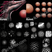 32组生物皮肤黑白深度图片素材 32 Alpha Brushes for Creatures