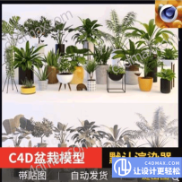 植物盆栽模型