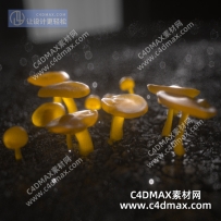 C4DMAX-几个蘑菇Octane工程文件蘑菇oc工程蘑菇3S材质工程