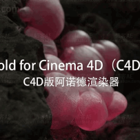 C4D阿诺德渲染器Arnold SolidAngle C4DtoA 4.2.4 R21/R22/R23/R24/R25/R26破解版下载