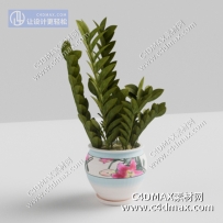 C4D模型-落地盆栽模型绿植模型植物模型38oc材质oc工程Octane材质