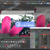 C4D森林植物插件