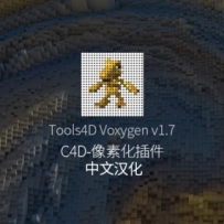 像素画插件Tools4D_Voxygen_v1.69_Multi_WIN_Mac 支持R12-R19