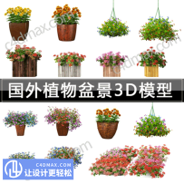 国外花园植物花卉绿植3DMAX模型