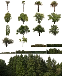 20个树木树林PNG抠图透明背景贴图素材 cutout trees