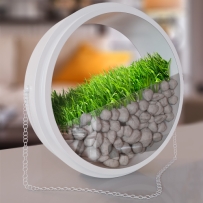 现代植物装饰品3D模型